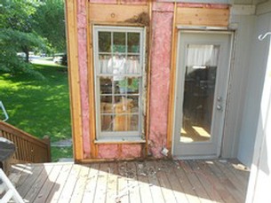 Wood Rot 1